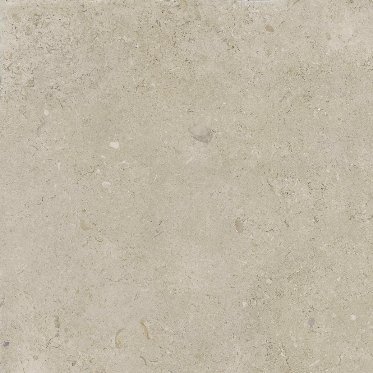 Coralina Beige Travertine Effect Tiles 90x90 — close-up of the tile surface, buy floor tile UK