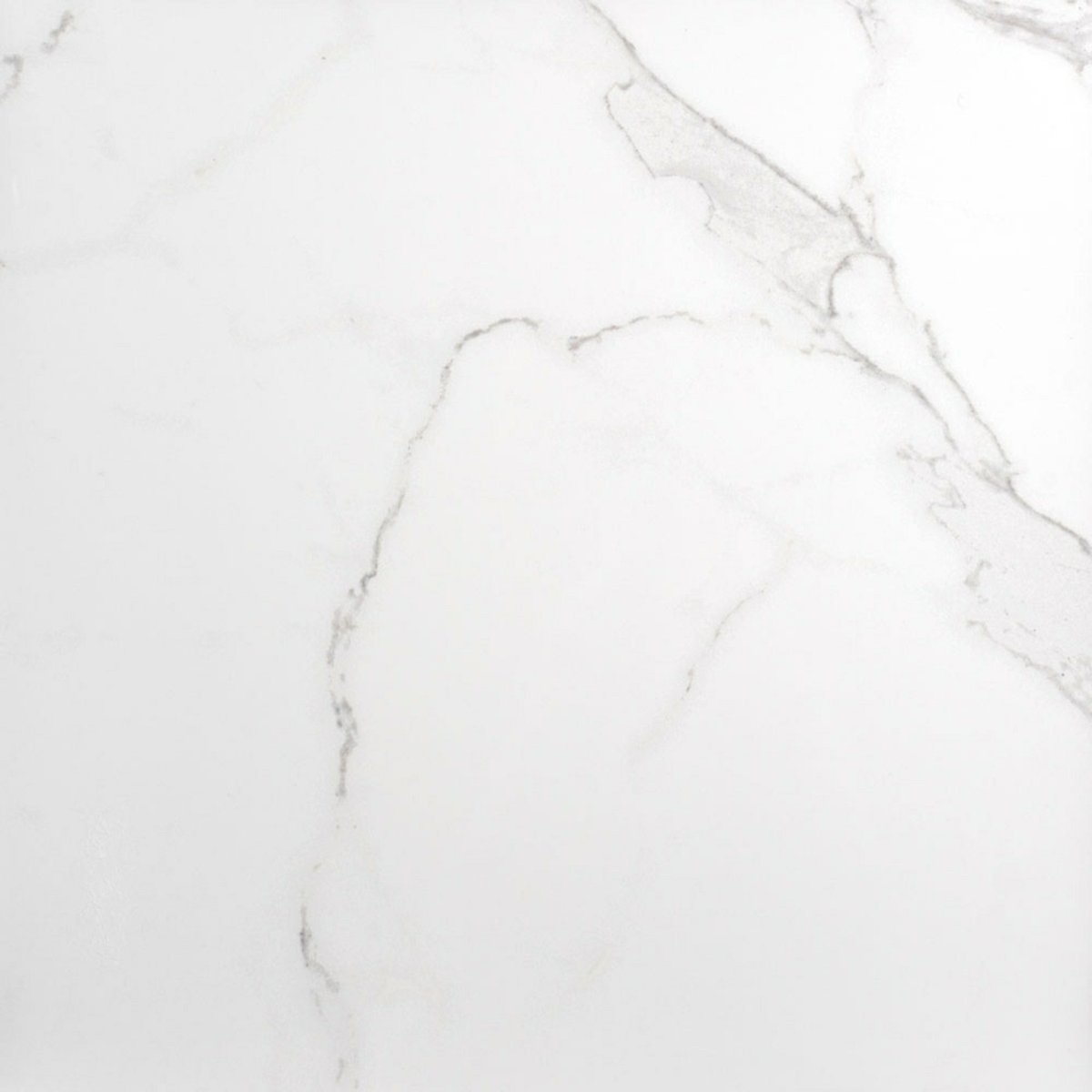Palatina 60.5x60.5 Matt Marble Effect Tile — detail view, buy floor tile UK