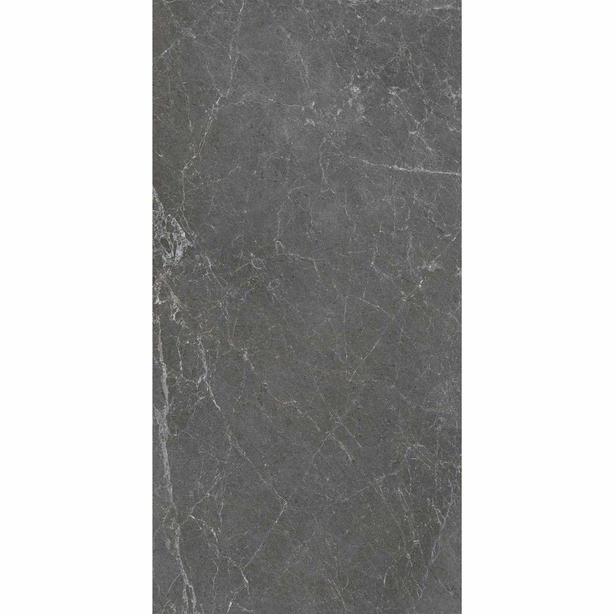 Signature Murano Mate Gris 60X120 — installed room setting, buy floor tile UK