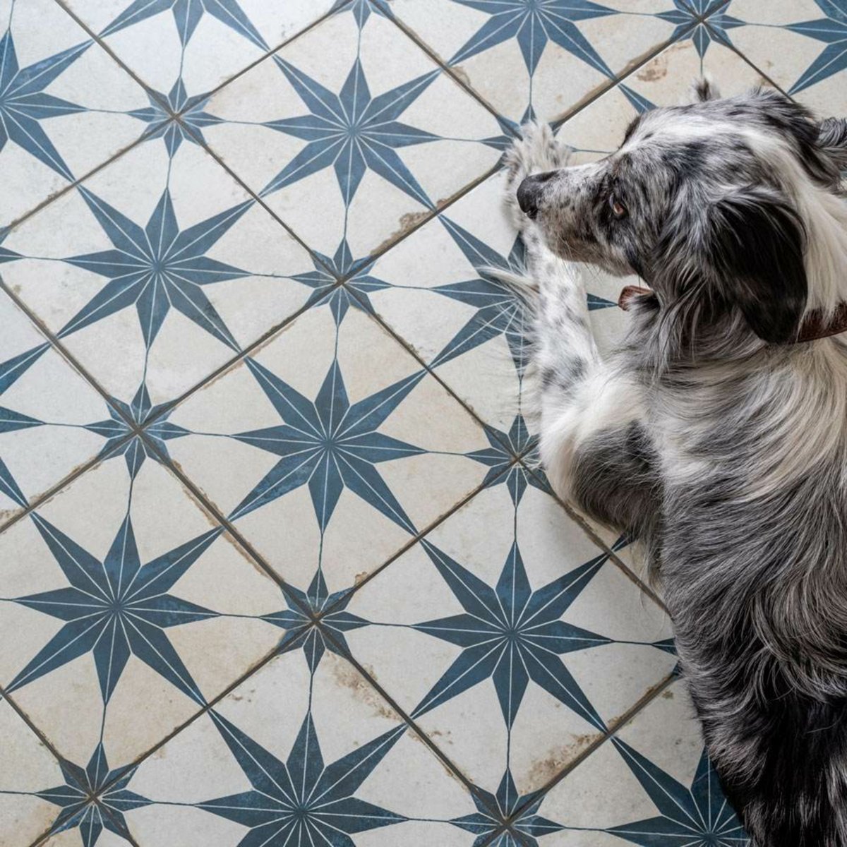Fs Star Blue — installed room setting, buy floor tile UK
