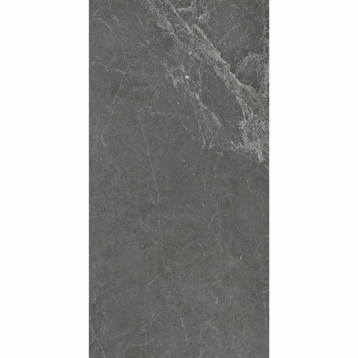 Signature Murano Mate Gris 60X120 — close-up of the tile surface, buy floor tile UK