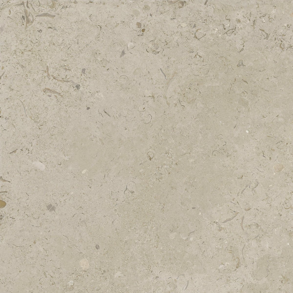 Coralina Beige Travertine Effect Tiles 90x90 — detail view, buy floor tile UK